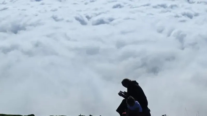 Trabzon'da bulutların üzerindeki yayla: Beypınarı Yaylası