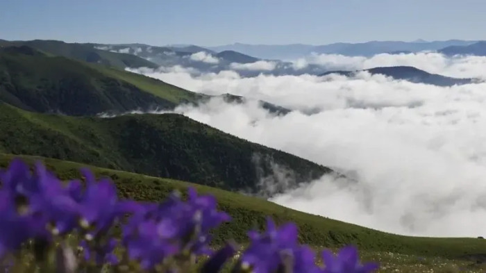Trabzon'da bulutların üzerindeki yayla: Beypınarı Yaylası
