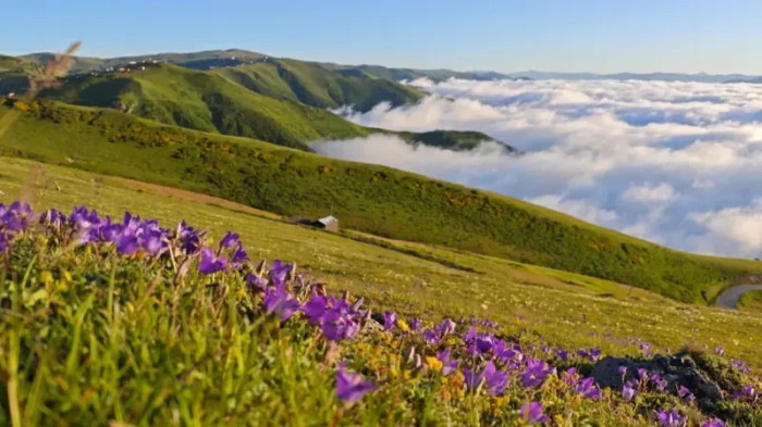 Trabzon'da bulutların üzerindeki yayla: Beypınarı Yaylası
