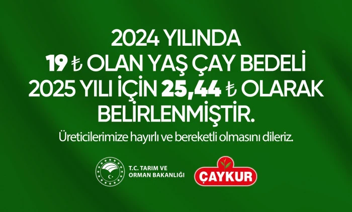 2025 Yılı Yaş Çay Fiyatı Açıklandı