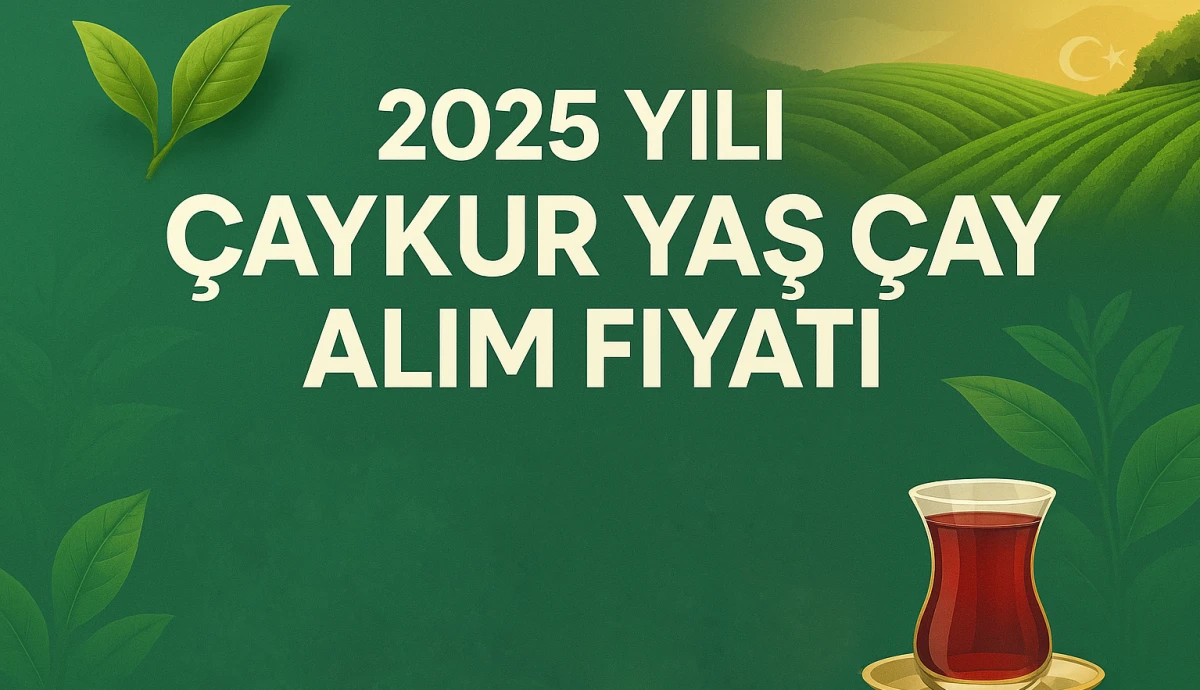 2025 Yılı Yaş Çay Fiyatı Açıklandı
