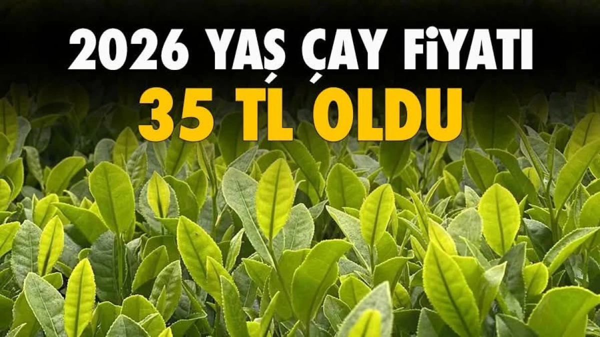 2026 Yılı Yaş &Ccedil;ay Alım Fiyatı Belli Oldu: Kilogramı 35 TL