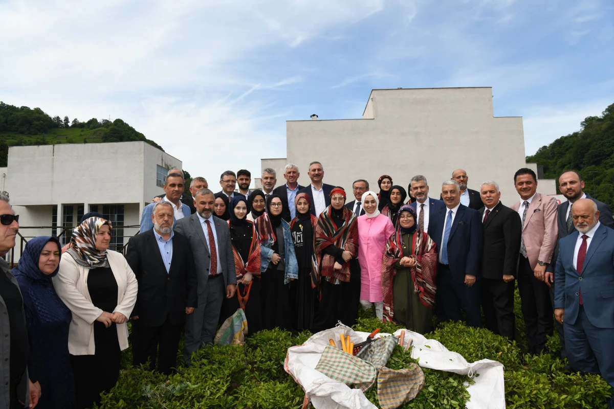 Başkan Genç: Ortahisar'da Yeni Bir Çay Fabrikası Kuracağız
