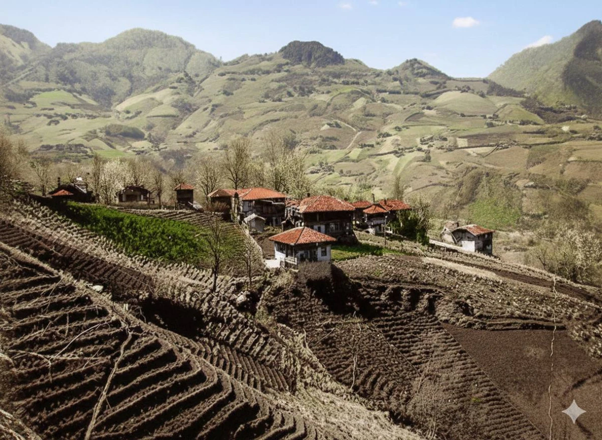 B&ouml;l&uuml;ml&uuml; Mahallesi'nin Tarihi: Zisino'dan G&uuml;n&uuml;m&uuml;ze Bir Yolculuk