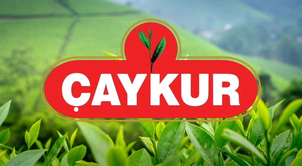 ÇAYKUR, Eylül ayı yaş çay paraları hesaplara yatıyor