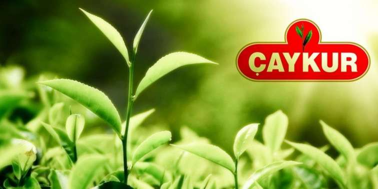 ÇAYKUR'da Ağustos ayı çay parası ödeme günü belli oldu
