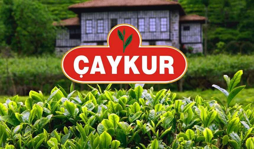 ÇAYKUR'dan 1500 Kişiye İş Fırsatı! Bayram Sonrası Başvurular Başlıyor