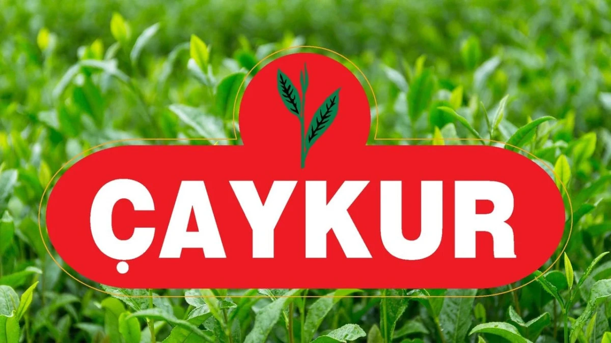 ÇAYKUR'dan Üreticilere Budama Tespiti Uyarısı
