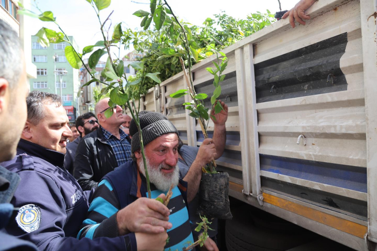 Of Belediyesi 20 bin meyve fidanı dağıtımı yaptı