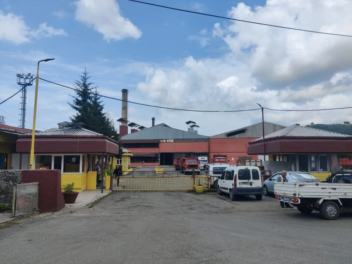 Of'ta kömür tozu iddiası: ÇAYKUR fabrikası yakın takipte