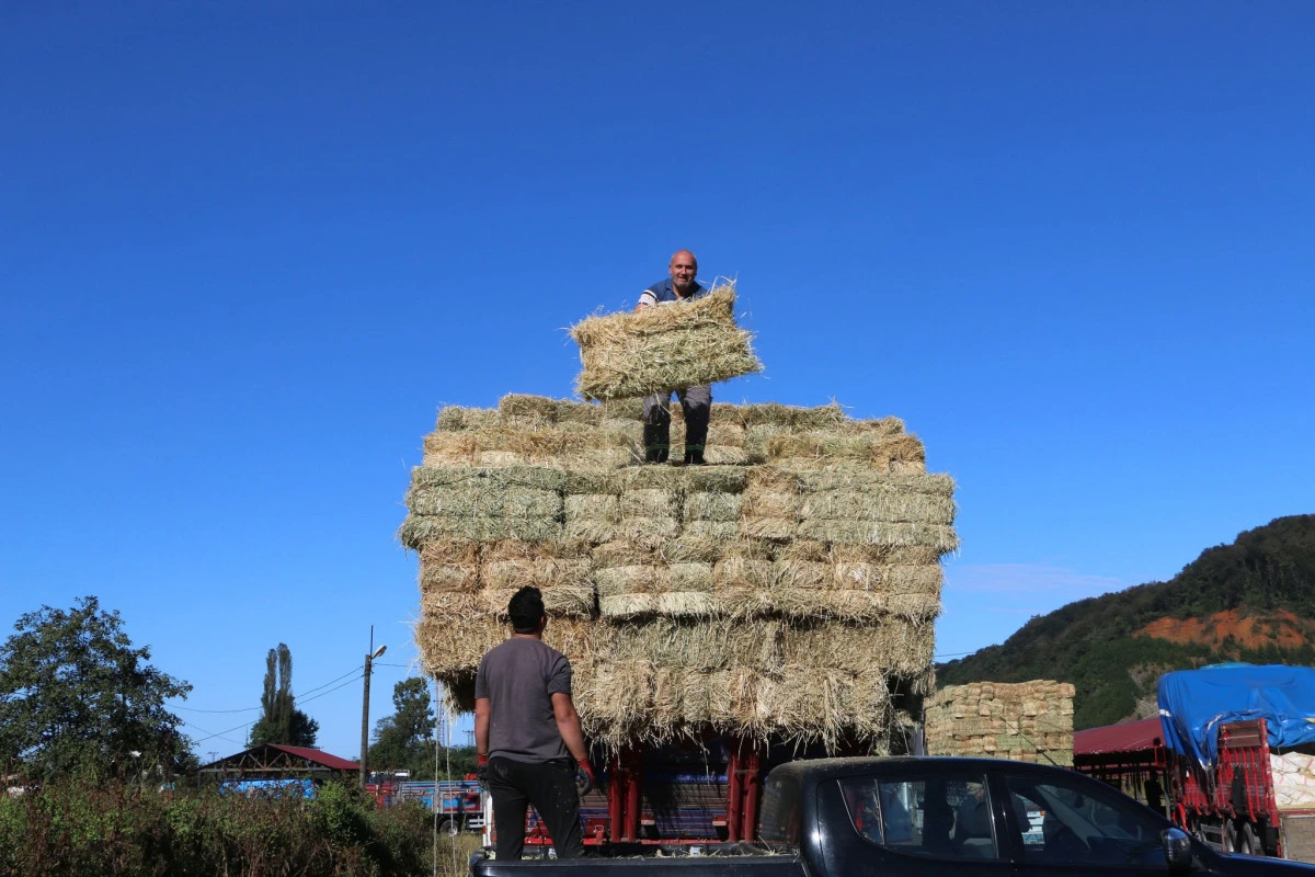 Of'ta ot pazarında satışlar durgun