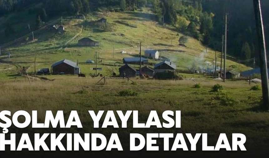 Şolma Yaylası bir doğa harikası | Şolma Yaylası nerede, nasıl gidilir?