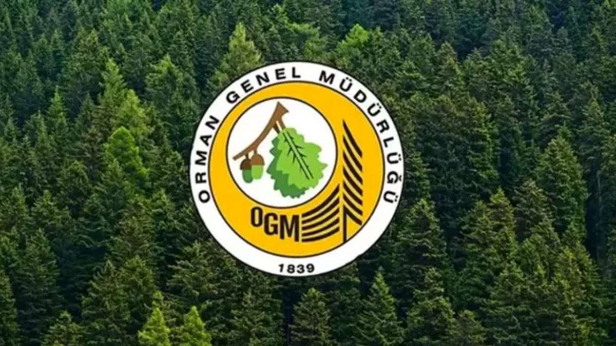Tarım ve Orman Bakanlığı 74'ü Trabzon, Artvin, Rize için olmak üzere 4500 geçici işçi alacak
