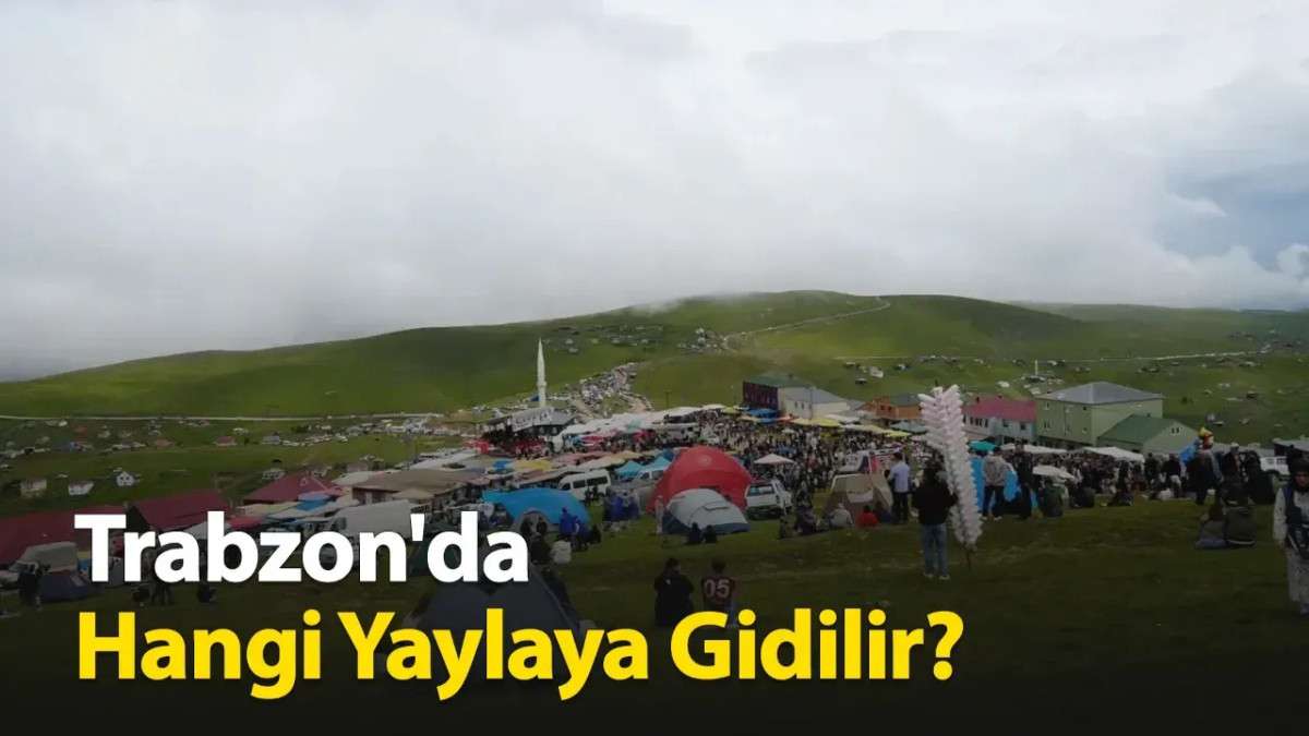 Trabzon'da Hangi Yaylaya Gidilir?