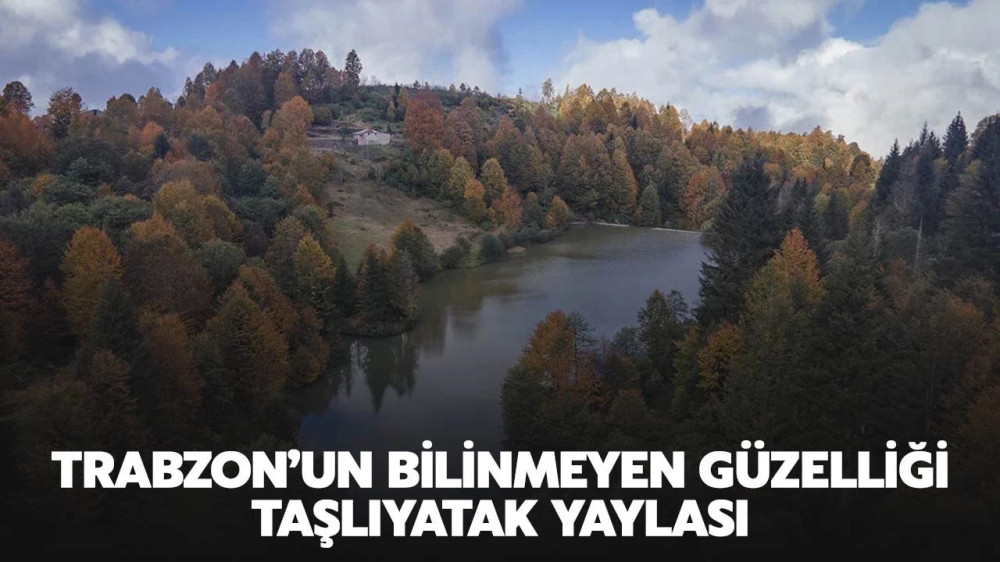 Trabzon’un bilinmeyen güzelliği; Taşlıyatak Yaylası