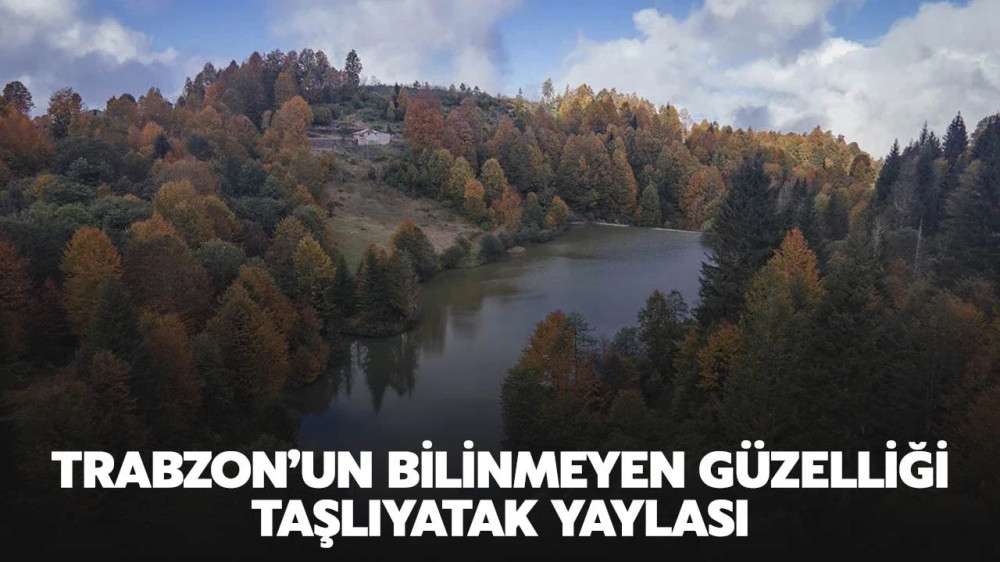 Trabzon’un bilinmeyen güzelliği; Taşlıyatak Yaylası