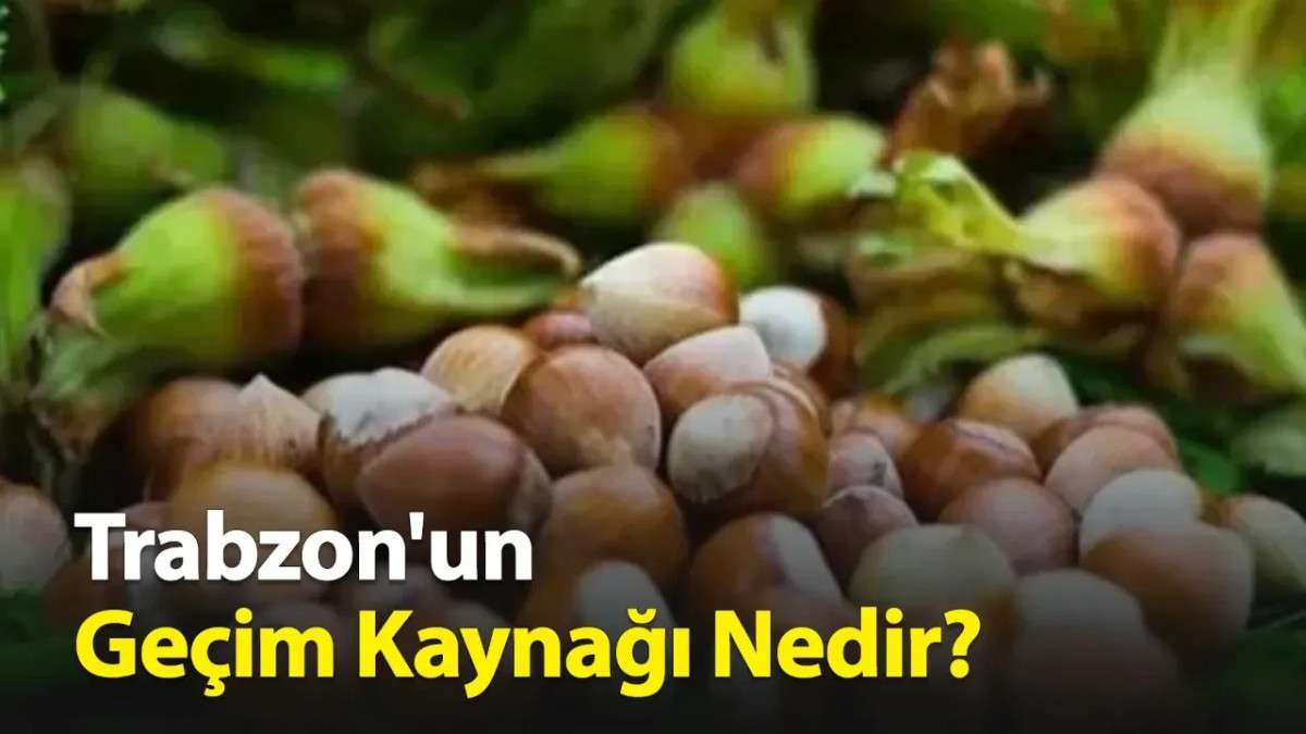 Trabzon'un Geçim Kaynağı Nedir?