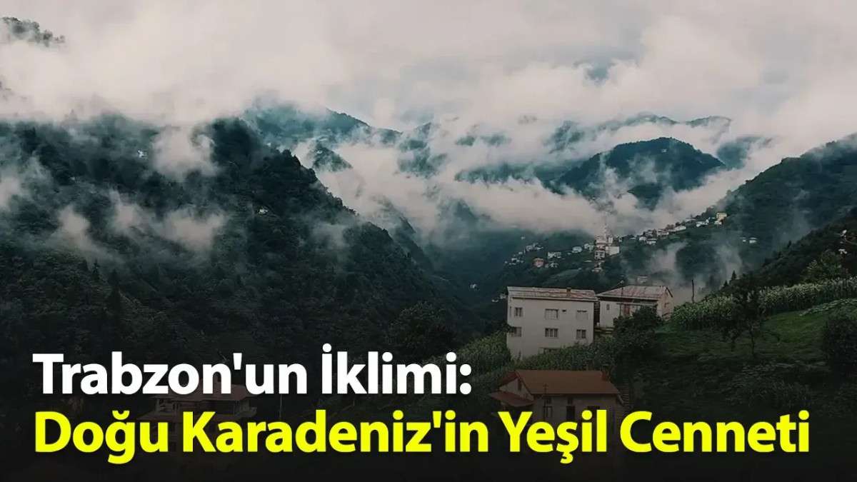 Trabzon'un İklimi Nedir?