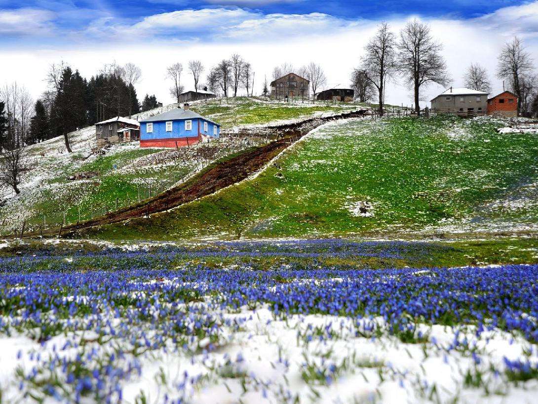 Trabzon'un İklimi ve Hava Durumu: Ne Zaman Ziyaret Edilmeli?