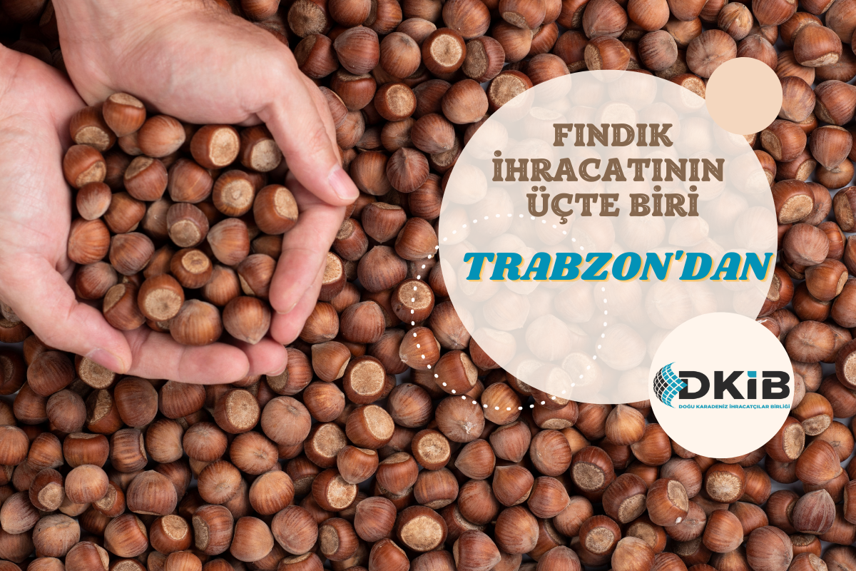 Türkiye fındık ihracatının üçte biri Trabzon'dan