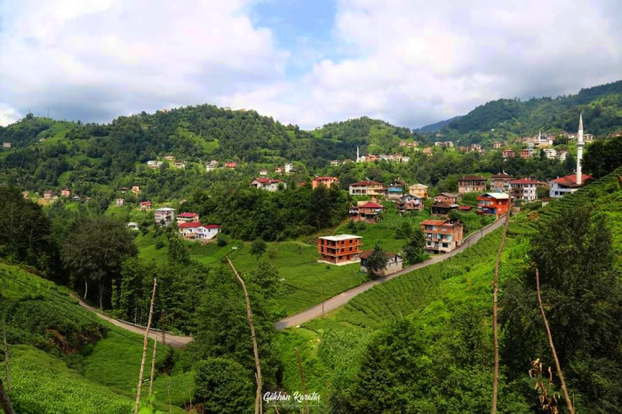 Bölümlü Mahallesi